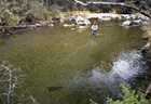 Lewis River 101347.jpg